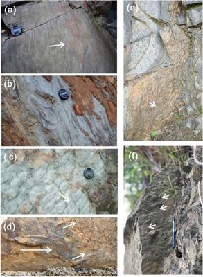 Early–middle Jurassic source to sink evolution and its tectonic significance in the northeastern Sichuan Basin